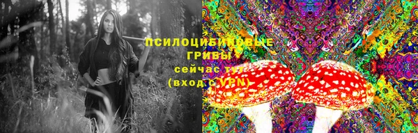 прущая мука Балахна